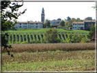 foto Paesaggi alle Pendici del Monte Grappa